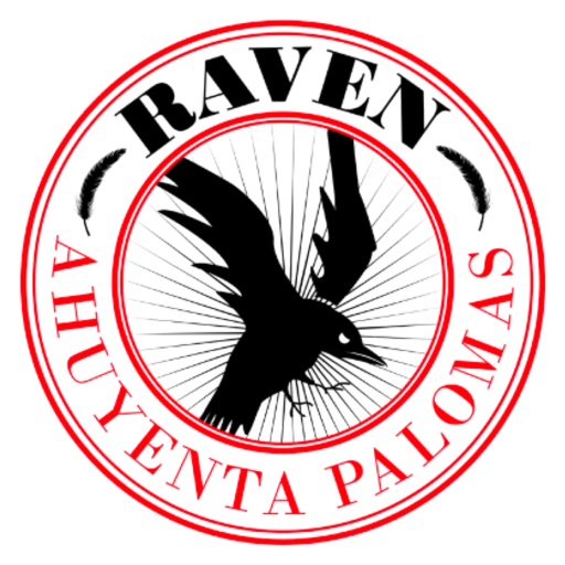 cropped-raven-logo.png